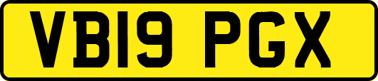 VB19PGX