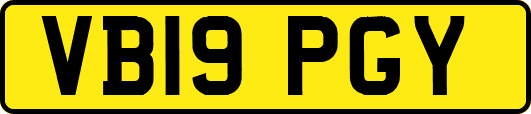 VB19PGY