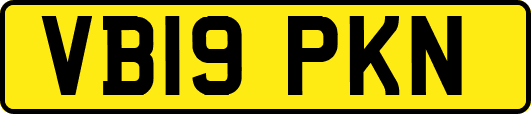 VB19PKN