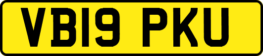 VB19PKU