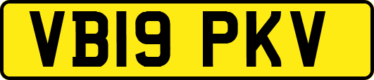 VB19PKV