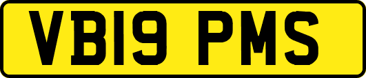 VB19PMS