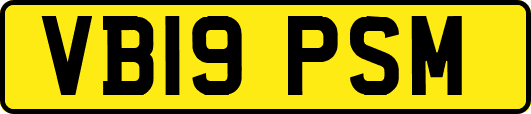 VB19PSM