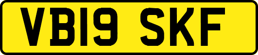 VB19SKF