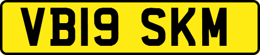 VB19SKM