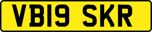 VB19SKR