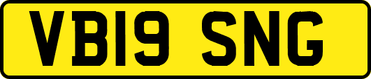 VB19SNG