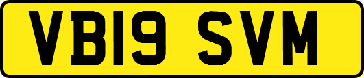 VB19SVM