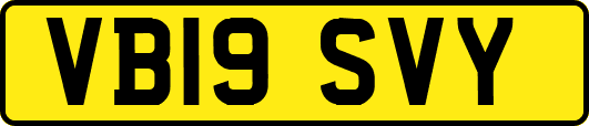 VB19SVY