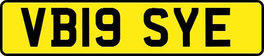 VB19SYE