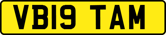VB19TAM