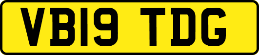 VB19TDG