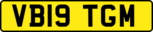 VB19TGM