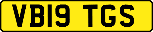 VB19TGS
