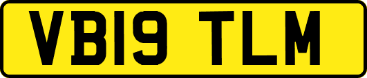 VB19TLM