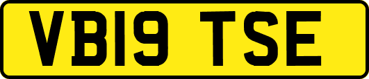 VB19TSE