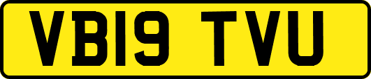 VB19TVU