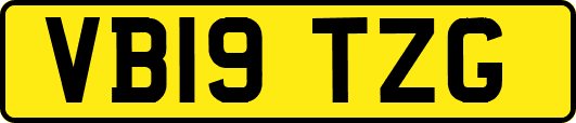 VB19TZG