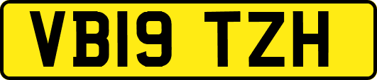 VB19TZH