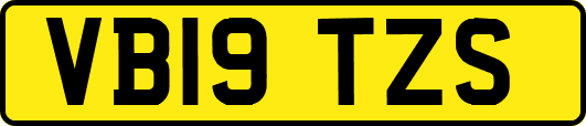 VB19TZS