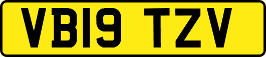VB19TZV