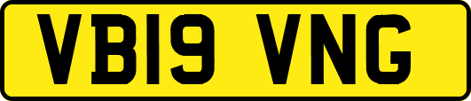 VB19VNG