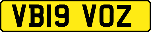 VB19VOZ