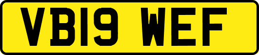 VB19WEF