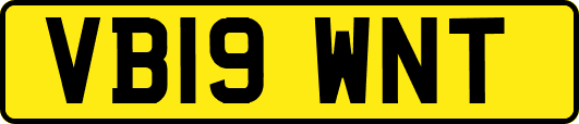 VB19WNT