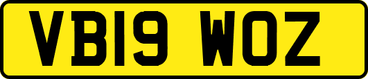 VB19WOZ