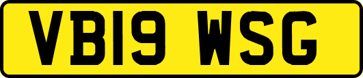 VB19WSG