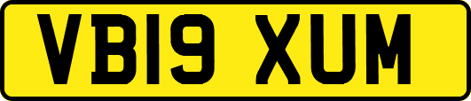 VB19XUM