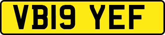VB19YEF