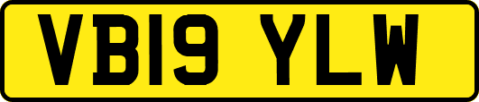 VB19YLW