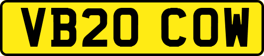 VB20COW