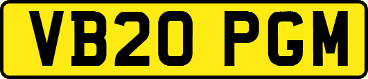 VB20PGM