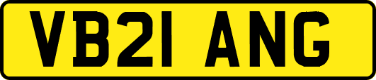 VB21ANG
