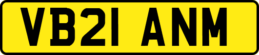 VB21ANM