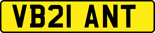 VB21ANT
