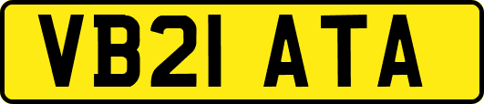 VB21ATA