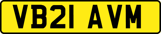 VB21AVM