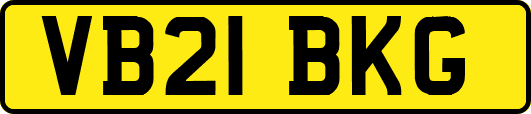 VB21BKG