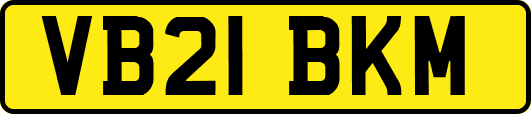 VB21BKM