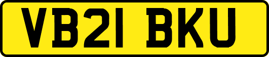 VB21BKU