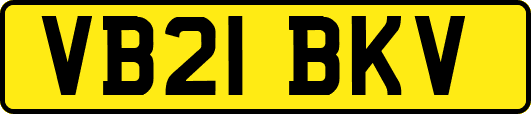 VB21BKV