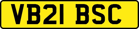 VB21BSC