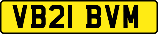 VB21BVM