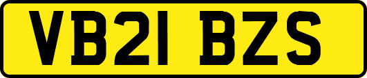 VB21BZS