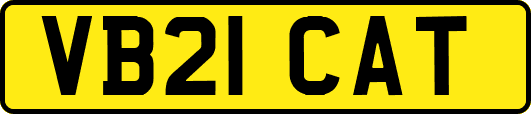 VB21CAT