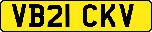 VB21CKV